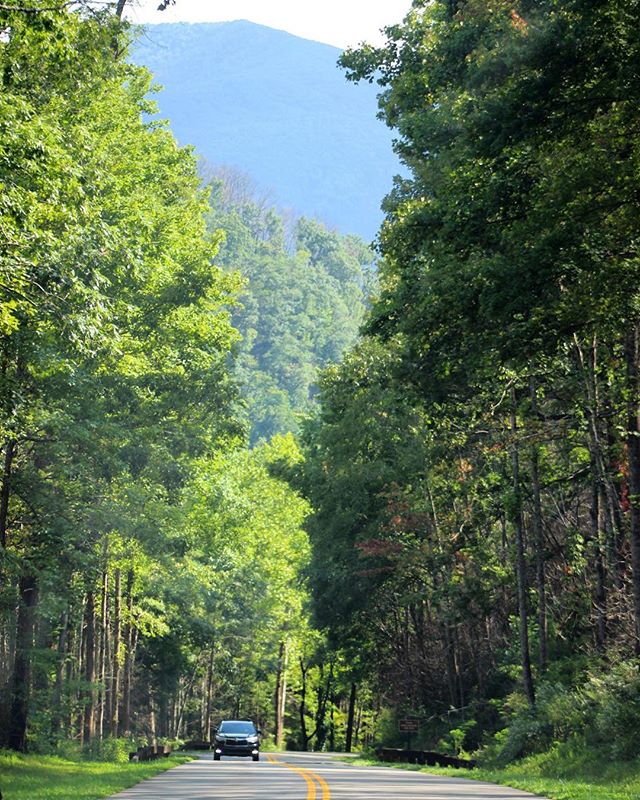 Into the mountains.. Part of my Tennessee road trip was actually spent in North Carolina, where we wanted to drive the Blue Ridge Parkway and stop for some hikes along the way. A few years ago, I drove parts of what is often referred to as ‘America’s Favo