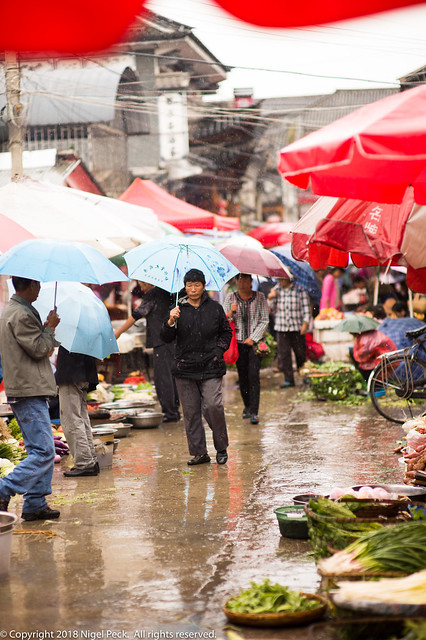 Wet Day at the Market