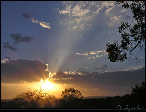 homeRaYViEWS : 21 Jan 2006 | by Webgrrlॐ