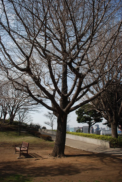 Yokohama MInatogamieruoka park