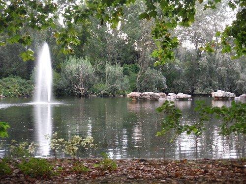 Pond and Duck Island, St. James's Park SWC Short Walk 19 - Royal Parks