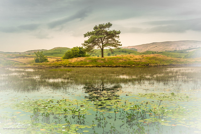 Kelly Hall Tarn