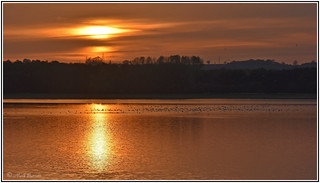 Rutland Water Sunset