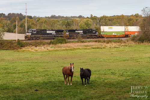 c449w ns wires cloudy intermodal doublestacks pole horse 9378 train21q field norfolksouthern train newgalilee pennsylvania unitedstates us