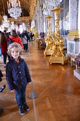 Everett In The Hall Of Mirrors