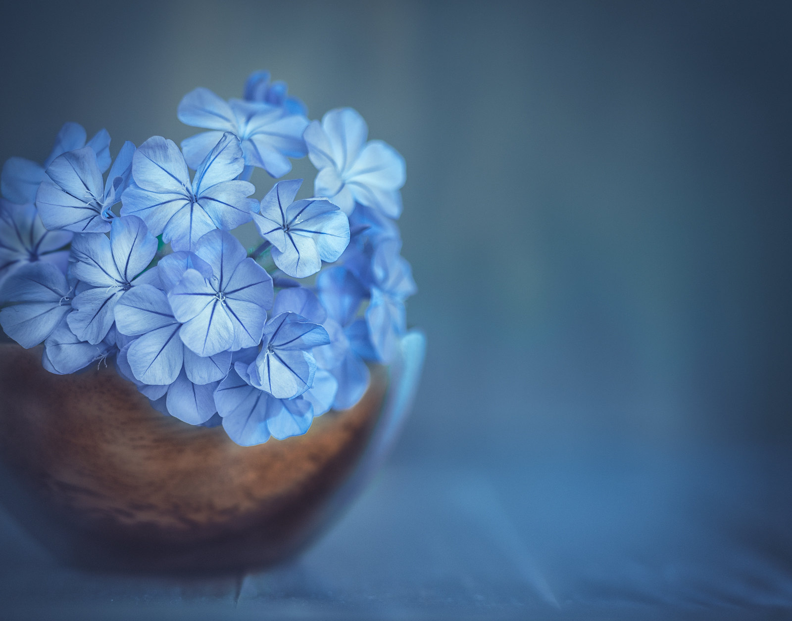 Blue II | Flickr