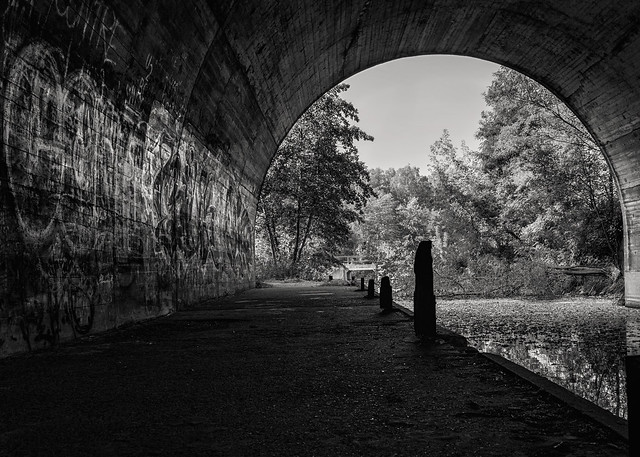 in the tunnel bw