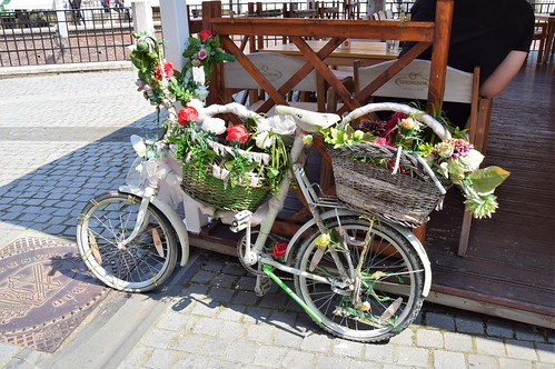 2018 sibiu rumanía românia europa europe bicicleta flor flower europeanunion