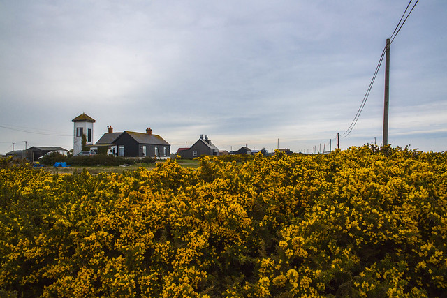 Gorse and Black Timber Cottages, Dungeness, Kent