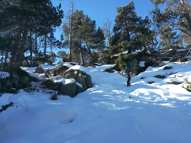 IMG-20181206-WA0033