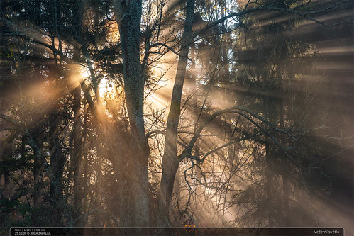 czechrepublic landscape forest autumn trees sunlight foggy fog vsetinskevrchy