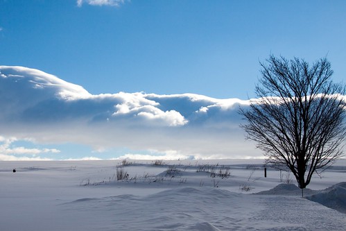 clouds nuage paysage light snow neige tree arbre white blanc winter hiver canada landscape nature quebec lumiere iledorleans