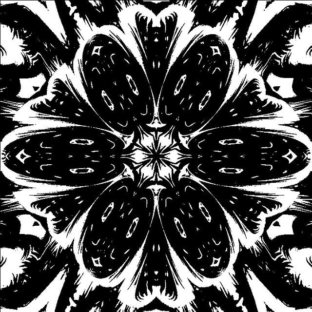 Mandala - Black Flower Foto Marcus Cabaleiro Site: https://marcuscabaleirophoto.wixsite.com/photos Blog http://marcuscabaleiro.blogspot.com.br/  #marcuscabaleiro #santos #blackflower #MandalaFotográfica #arte #brasil #fotografia #nikon #tela #quadro #paz