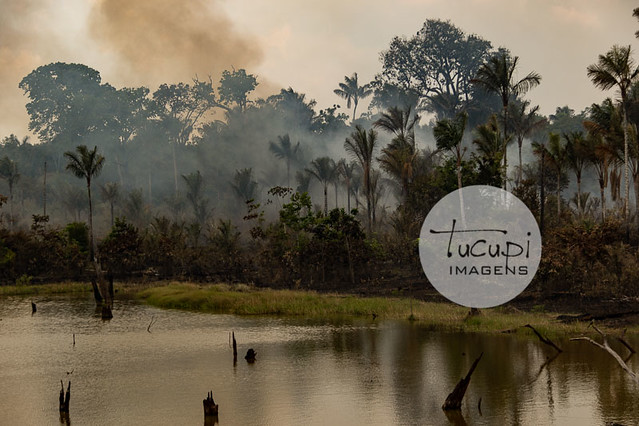 Queimadas na Amazônia, Iranduba-AM, Outubro/2018.