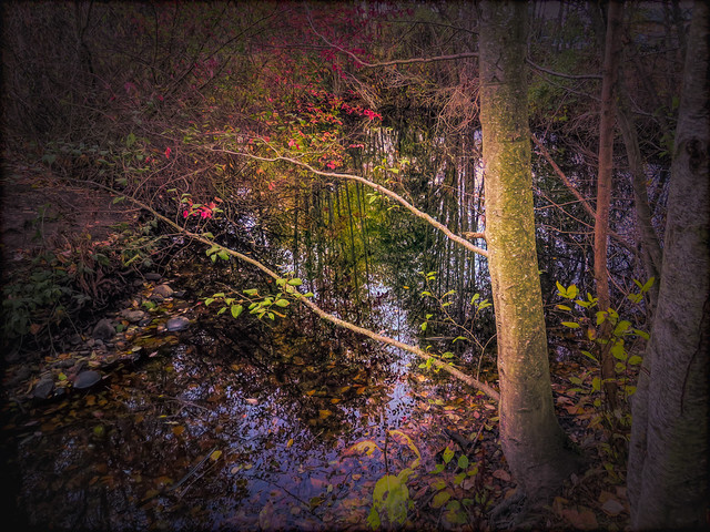October Reflections
