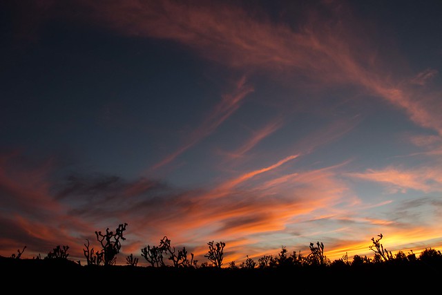 Mojave sunsets
