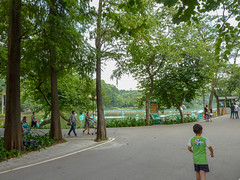 Photo 8 of 8 in the Tianhe Park gallery