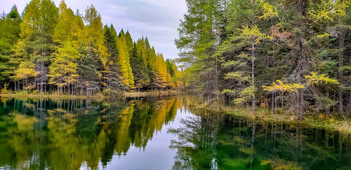 michigan nature autumn reflection