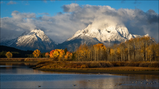 Early Morning at Oxbow Bend