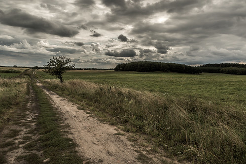 countryside dirt road polska poland mazury cloud field travel trees storm summer landscape nature