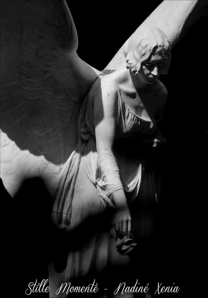 The Angel between Light and Shadow