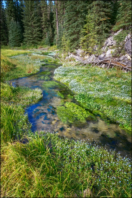 Spearfish Creek (Lead, South Dakota)