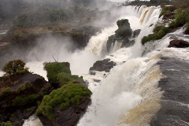 Rainy Iguazu