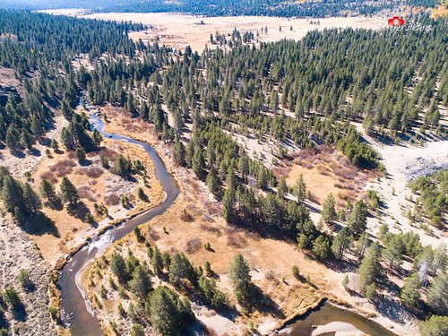 aerialview dji laketahoe sierra drone fall landscape markleeville california unitedstates us