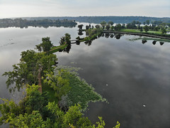 Ford Lake
