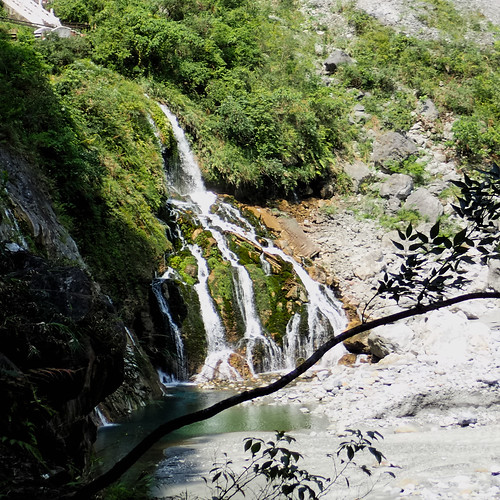 paysage eau rivière cascade pierre taroko sourceéternelle arbre branche nature chute chutedeau taïwan réserve