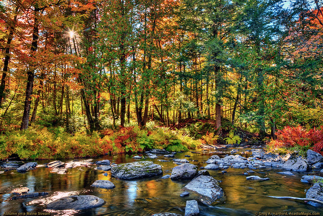 Autumn Colors at Black Stream