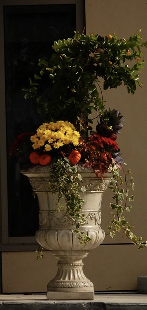 An arrangement for Autumn. Les plantes d'automne.