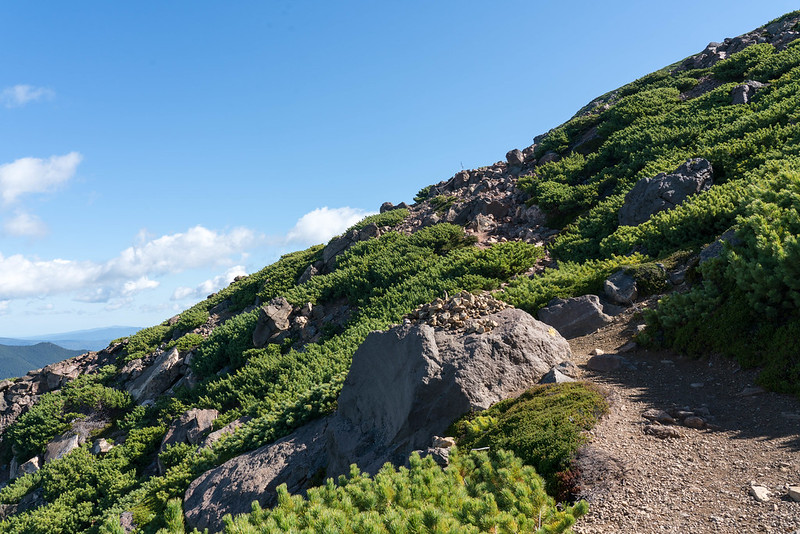 雌阿寒岳 登山