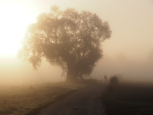 A walk with the dogs - bavarian street photography | by Florian Grundstein