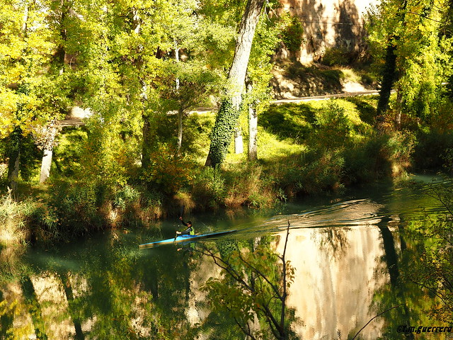 OTOÑO EN LA RIBERA DEL RIO JÚCAR IV