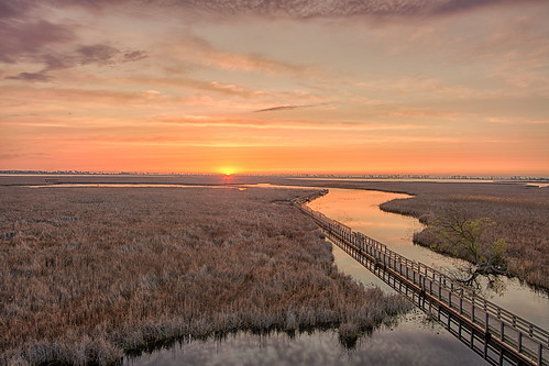 point pelee national parks boarwalk sunrise sunset