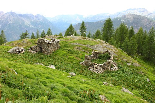 valmalenco valtellina valley alpecavaglia italy lombardy mountainside forest hut ruins ruin