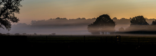 Good Morning Fog by cafuego, sunrise fog