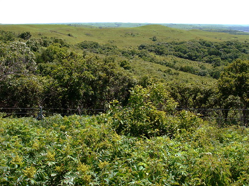 travel landscape kansas prairie tallgrass 2007 flinthills hwy177 konzaprairieresearchnaturalarea