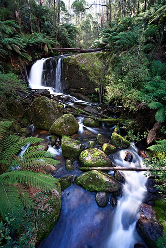 waterfall water fallingwater bawbaw rainforest ferns moss noojee victoria australia longexposure