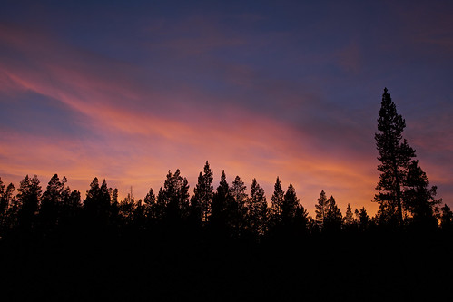 sunset conifers dusk redcloudloopscenicbackway uintahmountains utah earthnaturelife wondersofnature landscape