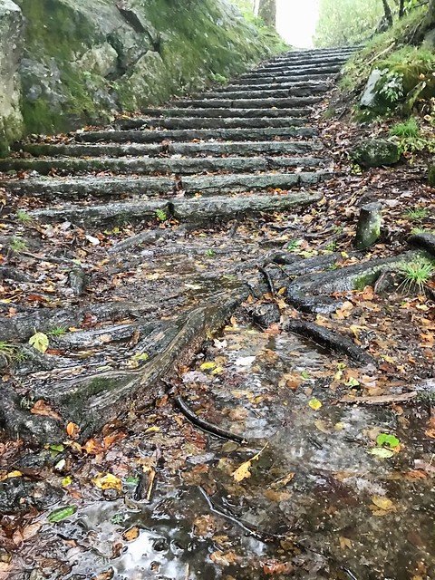 Wet Trail