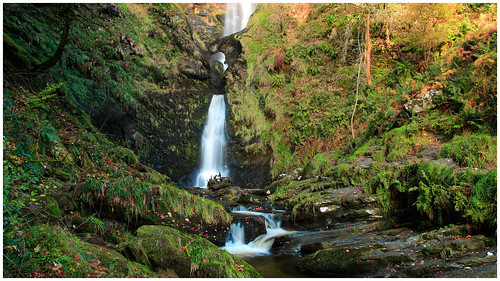 waterfalls cascades glen forest autumn moss wales uk canon le trees rocks leaves sunrise earlymorning