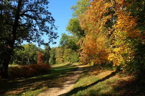 chateau park kostelec autumn trees path landscape sky czechrepublic canonpowershotg7xmarkii tree road grass