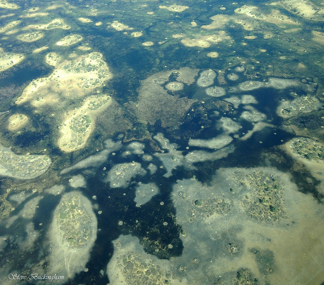 aerial view of the Okavango Delta