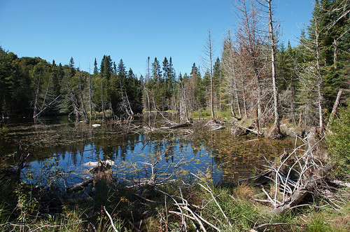 Lake Superior Park- Trapers lake trail