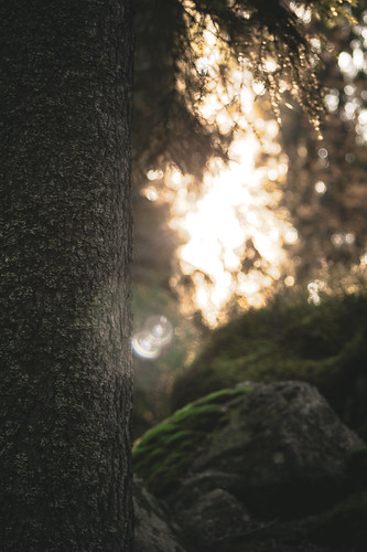 peek into me | by helography