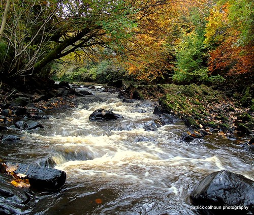 cranariver nature landscape river trees autumn donegal ireland countydonegal
