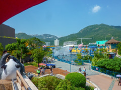 Photo 8 of 25 in the Day 18 - Ocean Park and Hong Kong Sightseeing gallery