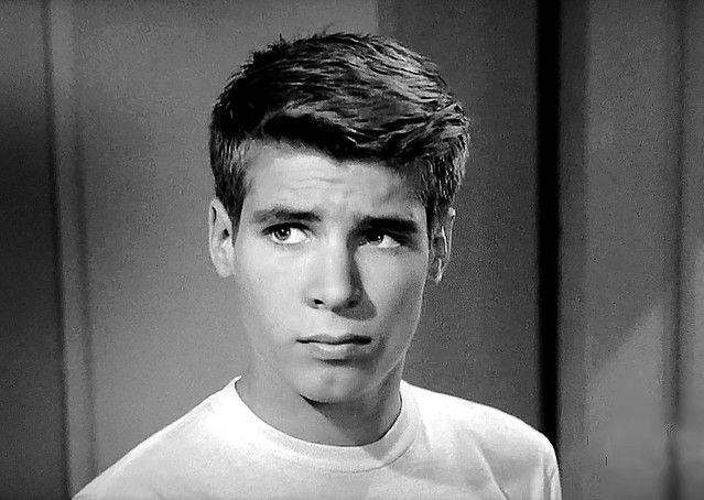 Don Grady in “Robbie Valentino,” an episode of “My Three Sons” from 2/22/1962.